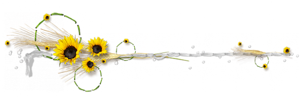 3000027357_1_11_s7vPGVbm.png