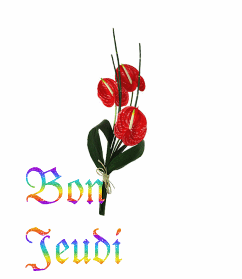 Bon jeudi tout le monde...