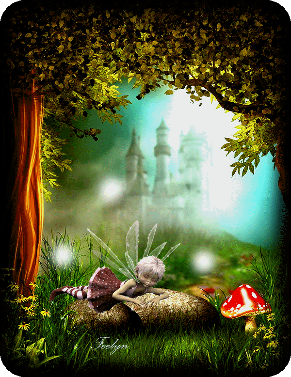 *** Que du beau pour vos yeux ***