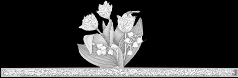 *** Barre de séparation Muguet.***